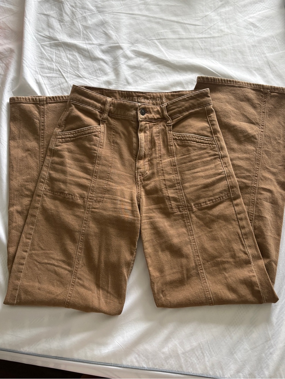 American Eagle Outfitters Baggy Wide Leg Pant